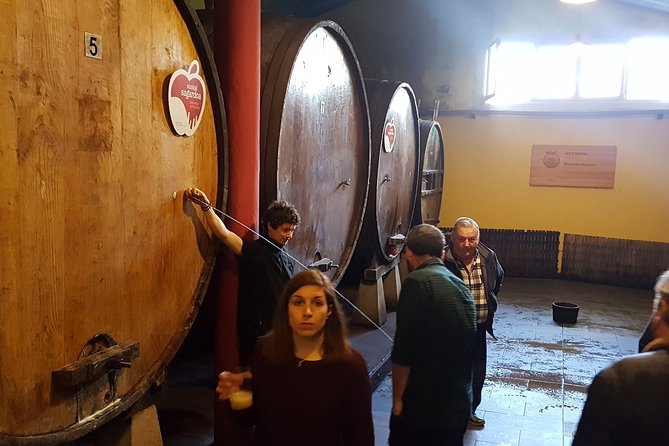 Traditional Basque Cider House Experience From San Sebastian - Copyright & Terms