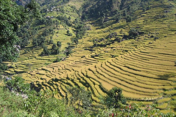 Trekking and Sleeping in Homestay - Homestay Packing Essentials