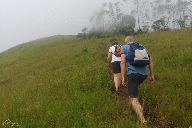 Trekking in Munnar - Post-Trek Relaxation Options