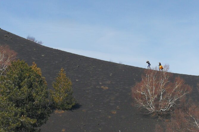 Trekking on Etna and Visit of the Snow Cave - Group Size and Booking Information