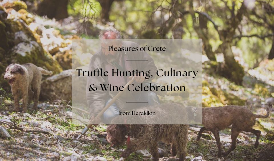 Truffle Hunting, Culinary & Wine Celebration From Heraklion - Exploring a Pottery Shop