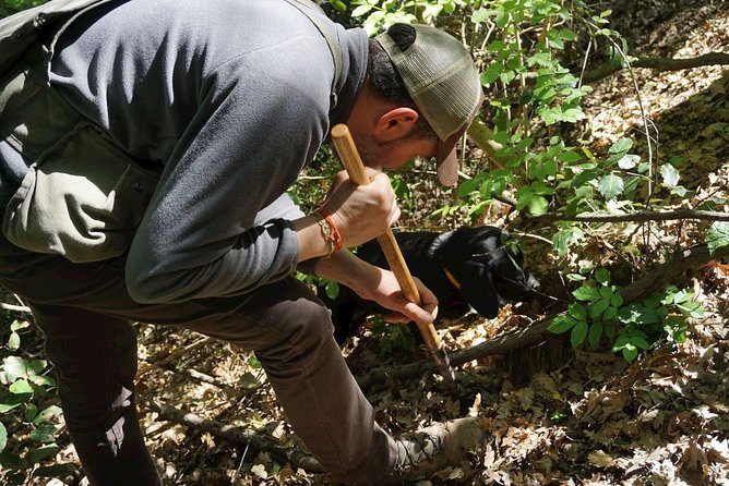 Truffle Hunting With Wine Tasting in Chianti - Truffle Hunting Excursion