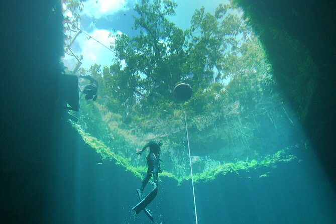 Try Freediving in a Cenote Nearby Cancun (Private Group) - End Point