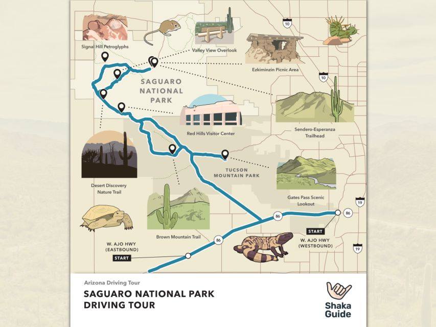 Tucson Tour: Saguaro & Mt. Lemmon Self-Guided Audio Tour - Tour Description