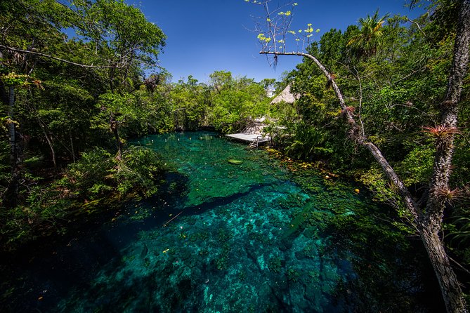 Tulum Archaeological Site and Cenote/Ziplining Tour - Pricing Breakdown