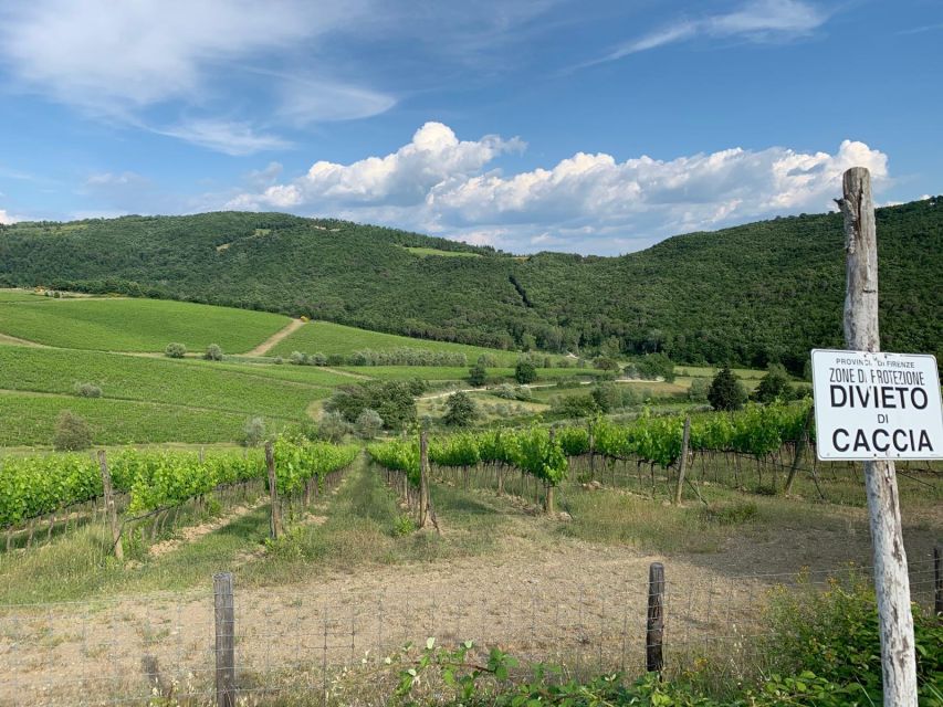 TUSCANY: WINE TASTING IN THE HEART OF CHIANTI CLASSICO - Optional