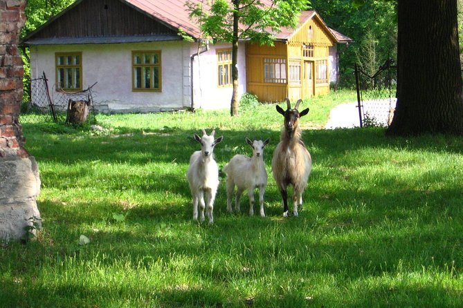 Two Days in the Polish Countryside - Private Tour From Krakow - Transportation