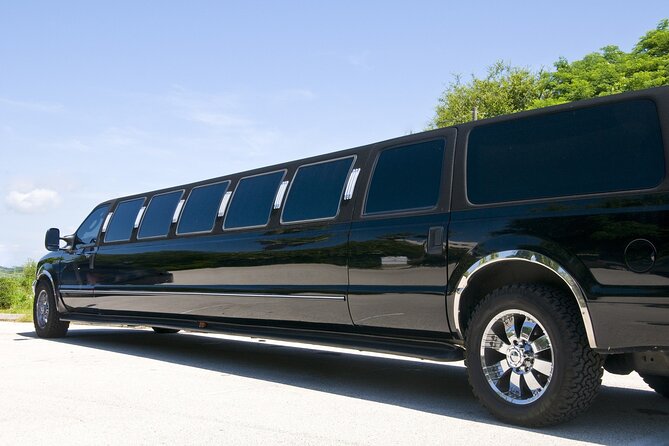 Two Hours Private Limo Rental With Chauffeur in Dubai - Chauffeur Service Inclusion