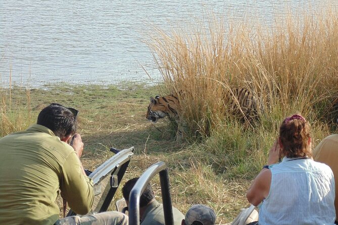 Two Night Safari Experience Ranthambore National Park &Transfers - Understanding Copyright and Terms