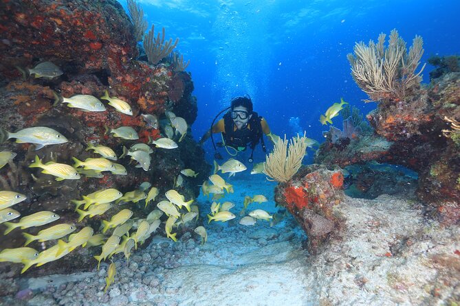 Two Tanks Scuba Diving for Beginners in Cancun - Participant Expectations