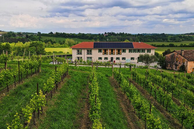 Unconventional Prosecco Tasting With Stunning View on Vineyards - Unique Prosecco Varieties