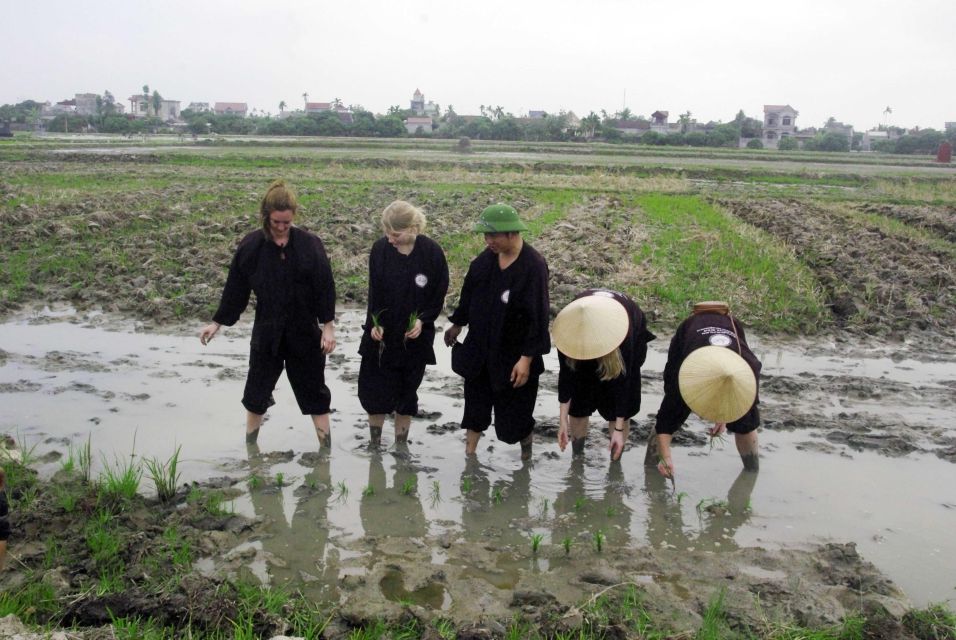 Unique 2 - Day Halong Ninh Binh Farming Tour - Experience Highlights