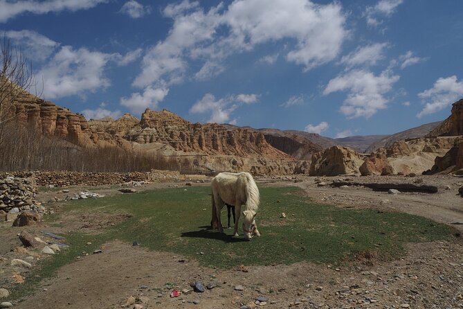 Upper Mustang Trek - Meals and Dining Information