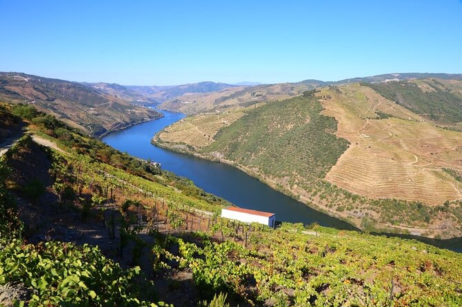 Valença Do Douro Walking Tour - Pricing Details