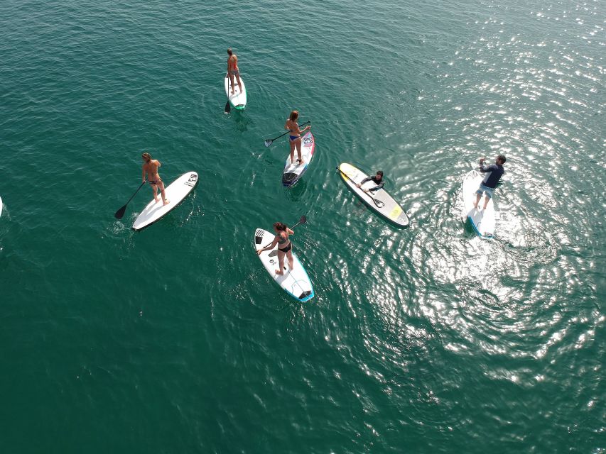 Valencia: 1 Hour Stand Up Paddle Board Lesson - Logistics and Accessibility