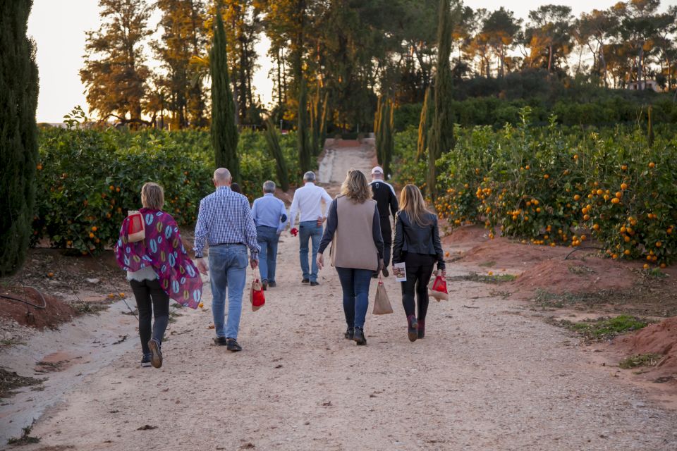 Valencia: Orange Farm and Orchard Trip With Tastings - Activities and Inclusions