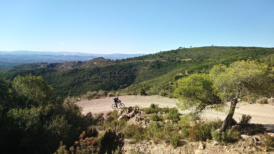 Valencia: Private Mountain Biking Trip in Sierra Calderona - Location