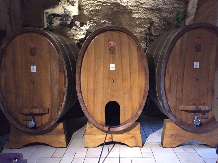 Verona: Amarone Wine Tour With Gourmet Lunch in Roman Villa - Inclusions