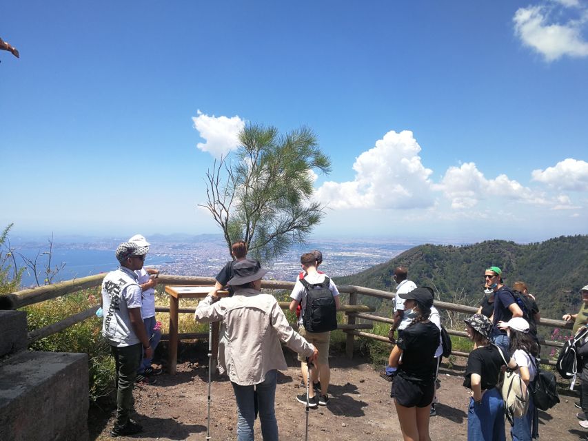 Vesuvio, Cantina Del Vesuvio Tour - Description