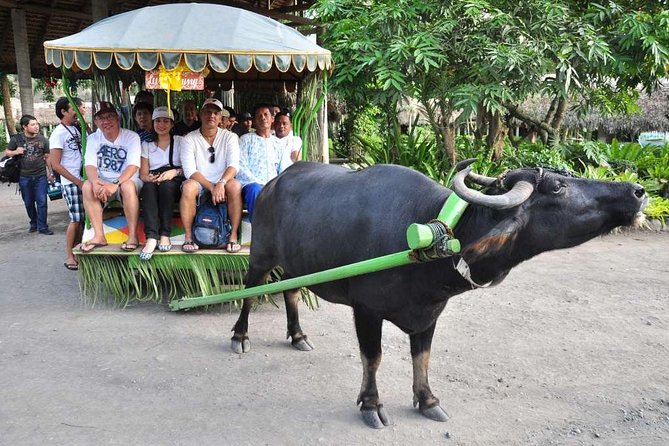 VILLA ESCUDERO DAY TOUR With Carabao Cart Ride and Bamboo From Manila - Traveler Reviews