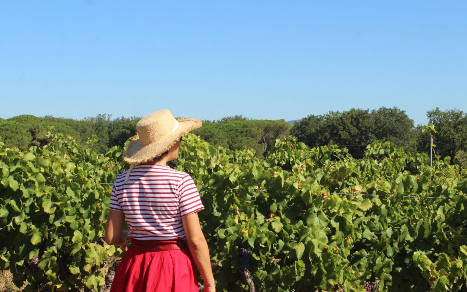 Vintage Wine Tour in Saint-Tropez - Tour Highlights