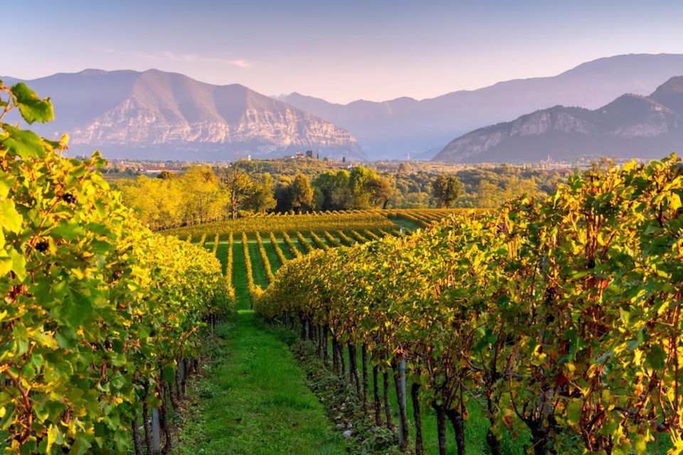 VIP Experience to Lake Iseo and Franciacorta Wine Tasting - Tour Provider: VEDITALIA