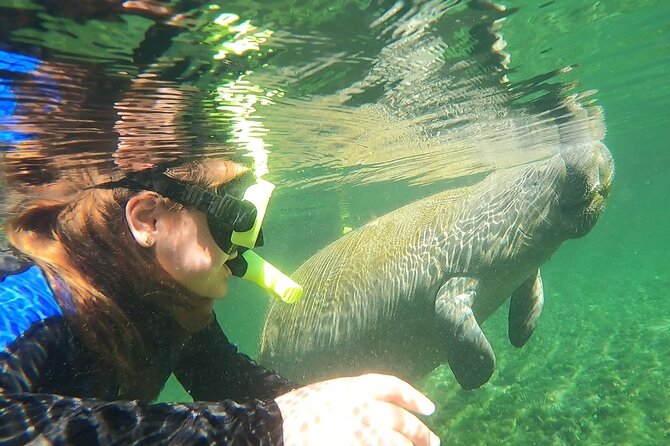 VIP Private Boat Manatee Snorkel Tour With In-Water Guide and Photograper - Customer Reviews