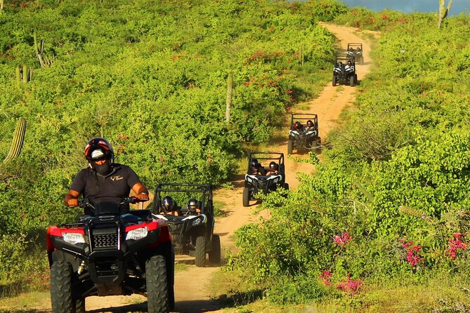 Viper Trail UTV Small-Group Experience in Cabo San Lucas - Expectations and Guidelines