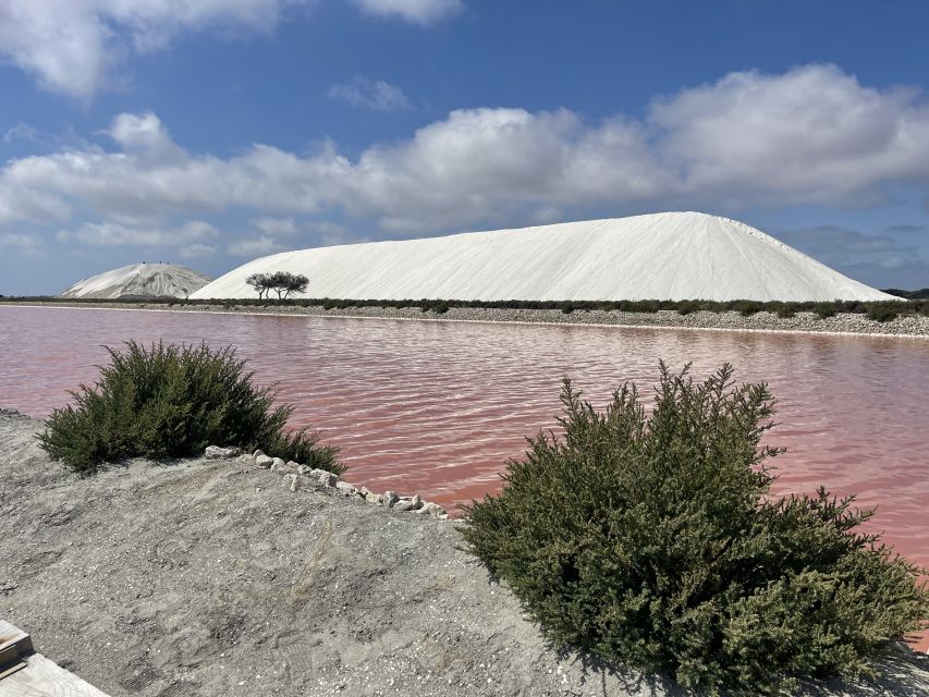 Visit Camargue and Salt Marshes From Montpellier - Itinerary Highlights