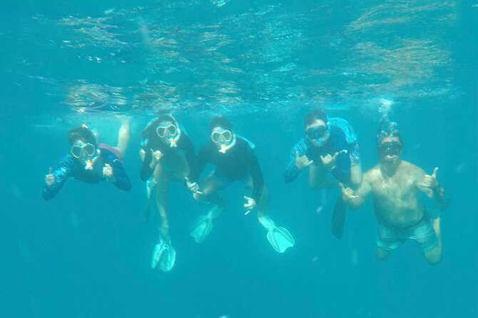 Waikiki Small Group Turtle Snorkeling & Sailing - Reviews and Ratings