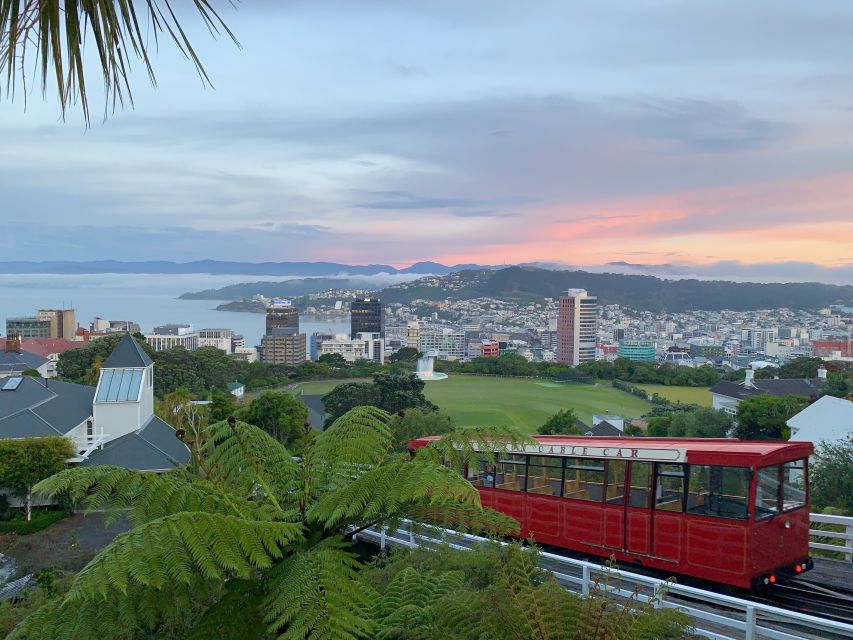 Wellington: Return Cable Car Ticket - Reserve Now & Pay Later