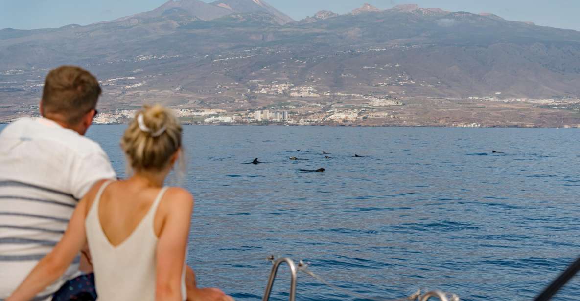 Whale and Dolphin Watching Yacht Trip in Puerto Colon - Important Booking Information