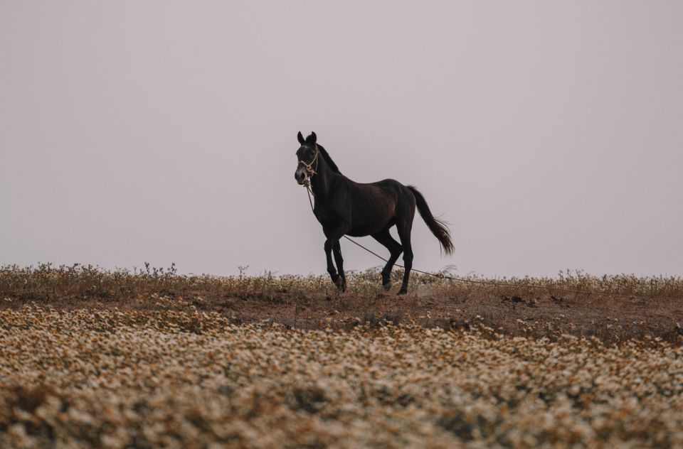 What Lies Hidden in Santorinis Soul? 6h - Private Discovery - A Journey Through Time and Nature