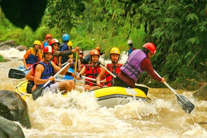 Whitewater Rafting 5 KM Only - Group Size and Personalized Experience