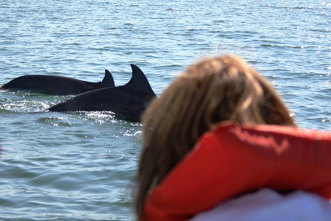 Wild Dolphins Encounter & Snorkeling - Cancellation Policy