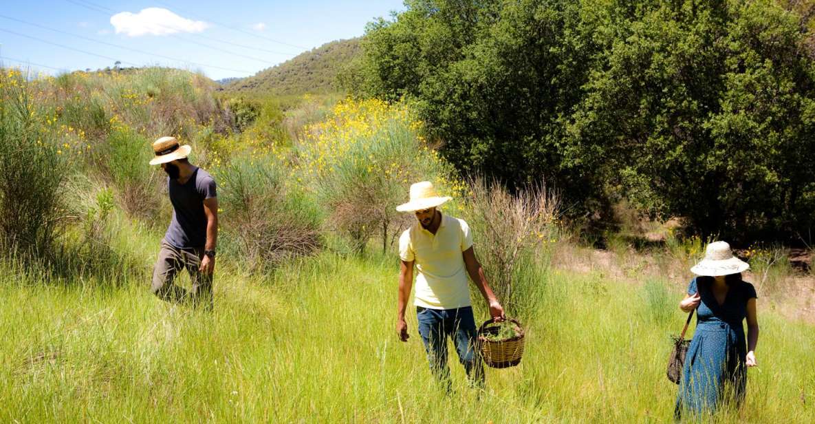 Wild Walk: Discover the Local Wild Flora - Highlights of the Activity