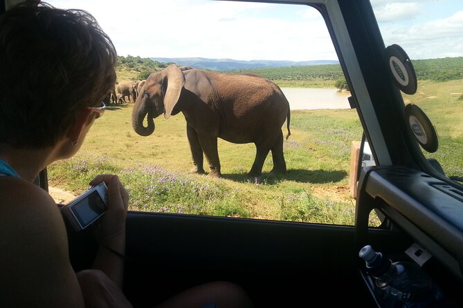 Wildlife Wonders - Addo Elephant National Park Tour - Park Entrance Information