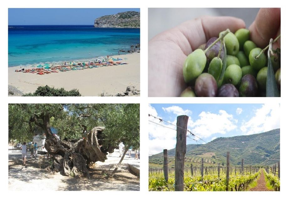 Wine and Olive, Falasarna Beach Day Tour - Inclusions and Exclusions
