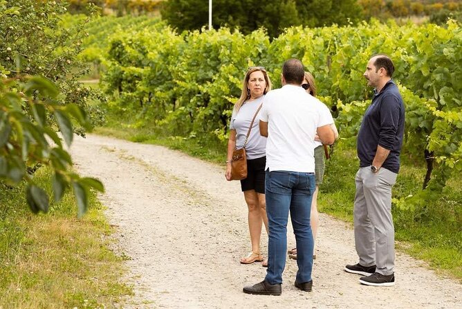 Wine and Wonders: A Tour of the Best of Vinho Verde and Douro - Tour Guide Experience With Jose