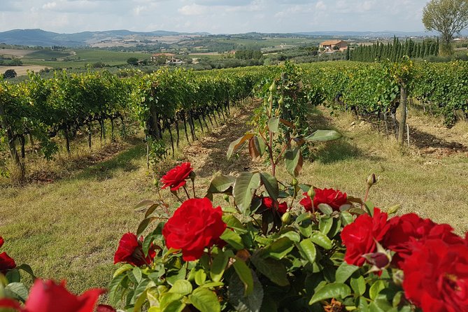 Wine Tasting in Montepulciano and Visit to Pienza, in Tuscany From Rome - Delightful Cheese Selections