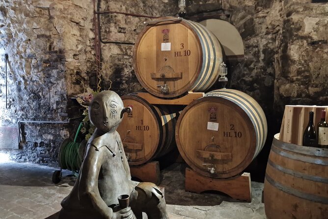 Wine Tasting in Montepulciano Tuscany Private Tour From Rome - Exclusive Tasting Experiences