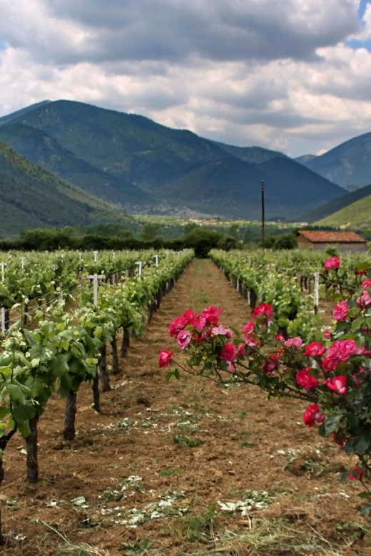 Wine Tour & Tasting in an Organic Winery in Arcadia, Greece - Tour Features