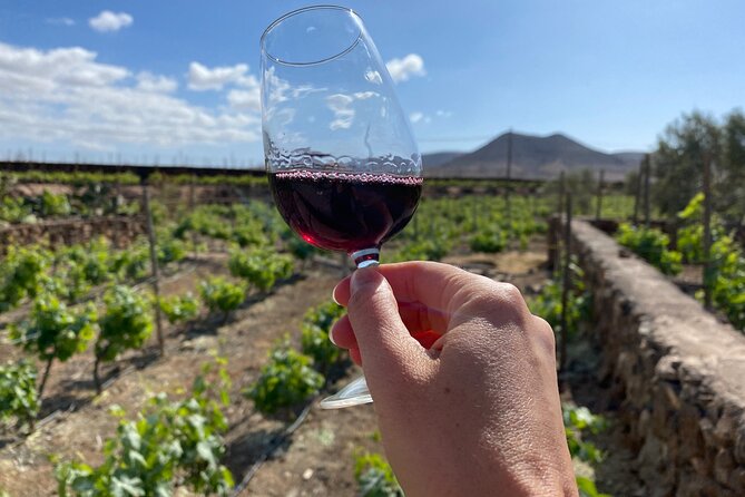 Winery and Chocolate Tasting Experience in Fuerteventura - Pricing and Booking Details