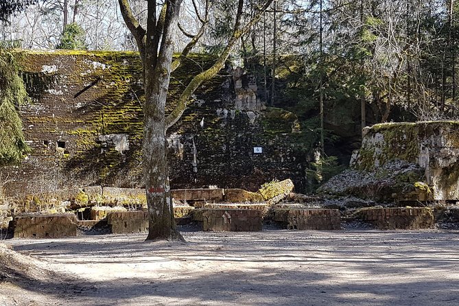 Wolfs Lair & Treblinka Tour in 1 Day From Warsaw - Wolfs Lair Overview