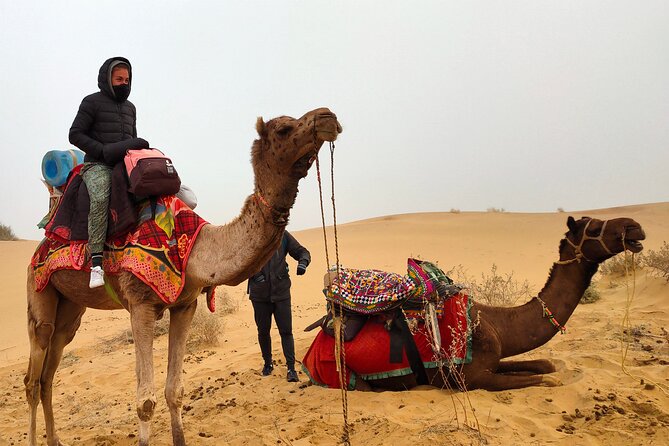 Wonderlust Desert & Camel Safari With Rumi Caravan of Thar Desert - Authentic Camel Riding Experience