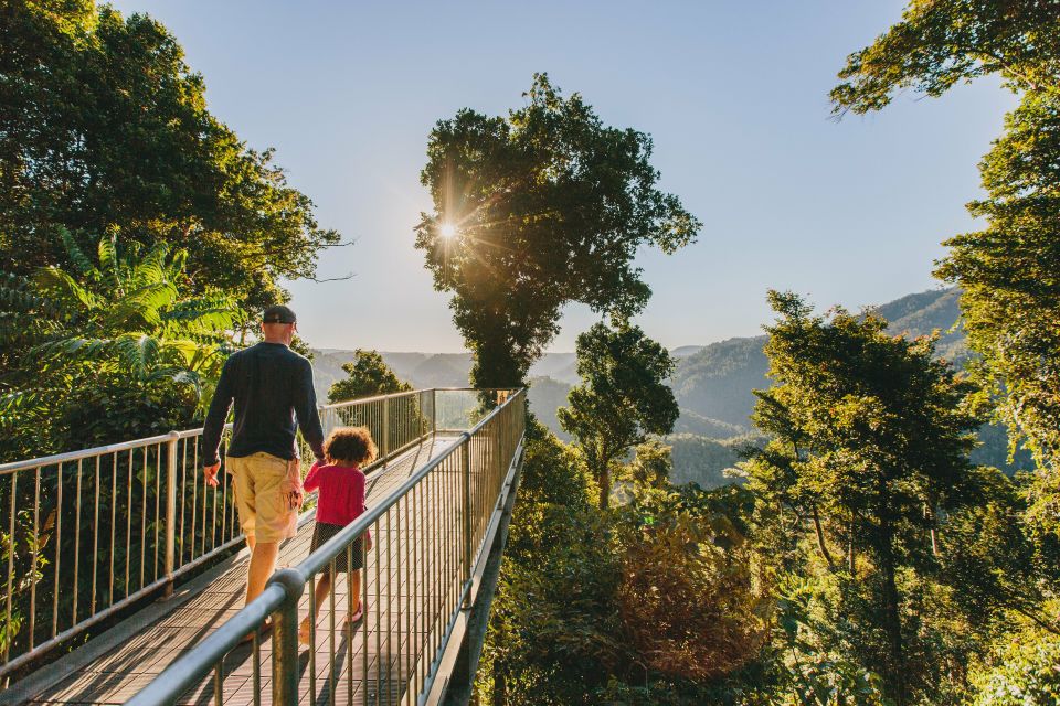 Wooroonooran National Park: Mamu Tropical Skywalk Admission - Full Description