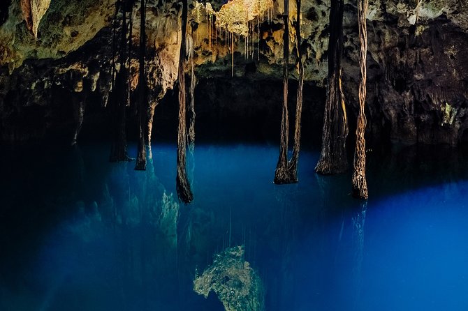 Xcaret Cenotes Guided Tour With Priority Acces, Lunch and Drinks - Traveler Photos and Reviews Access