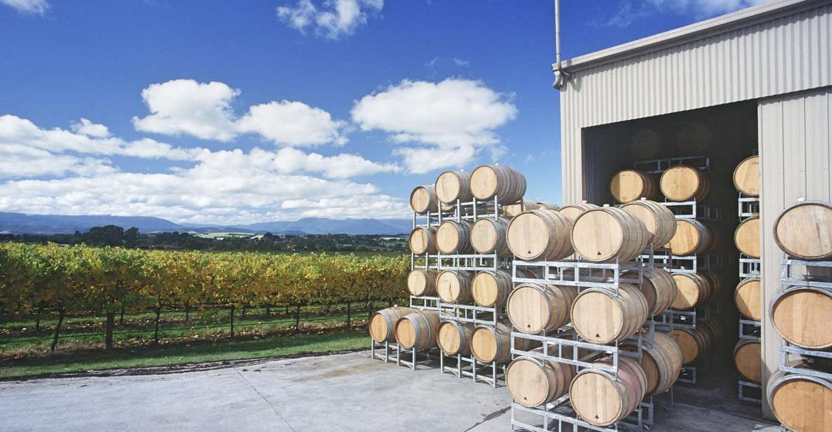 Yarra Valley: Bus Wine Tour With Lunch and a Glass of Wine - Tour Highlights