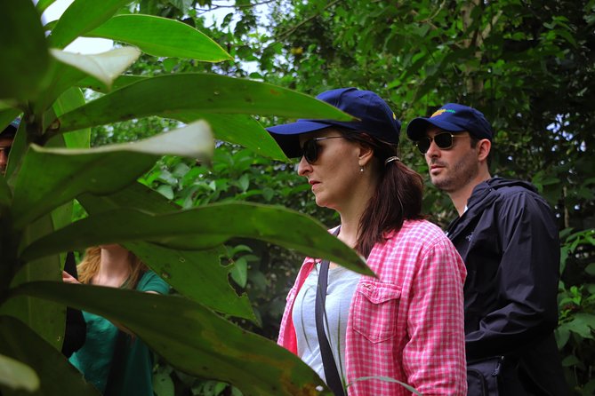 Yasuni National Park 3 Days 2 Nights in the Amazon of Ecuador,Comfortable Rooms - Booking and Reservation Process