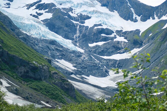 Year Round Glacier View & Wildlife Anchorage Adventure Tour - Customer Reviews & Recommendations